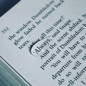 Meet your Posher, Stefanie